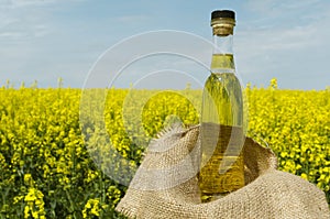 Closeup of glass bottle of canola oil, sackcloth against canola field.Empty space photo