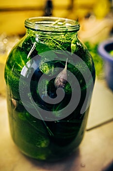 Closeup glass jar with cucumber in brine