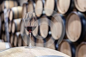 Closeup glass with red wine on background wooden wine oak barrel stacked in straight rows in order, old cellar of winery, vault.