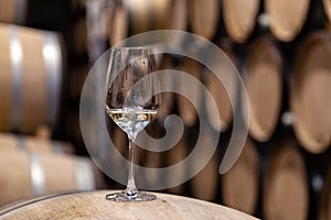 Closeup glass with white wine on background wooden wine oak barrels stacked in straight rows in order, old cellar of winery, vault