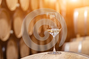 Closeup glass with white wine on background wooden wine oak barrels stacked in straight rows in order, old cellar of winery, vault