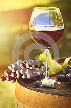 Closeup of glasse of red wine and grapes