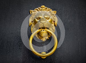 Closeup of a Golden knocker with a lion's head on a black door