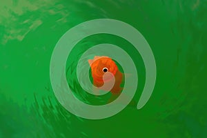 Goldfish plastic toy making ripples in green water.