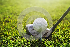 closeup golf club and golf ball on green grass