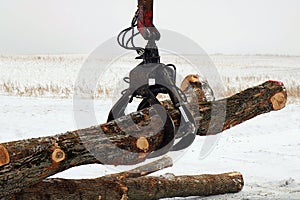 Close up of grappling hook moving logs photo
