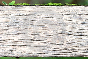 Closeup of gray wooden boardwalk weathered with rough textured.