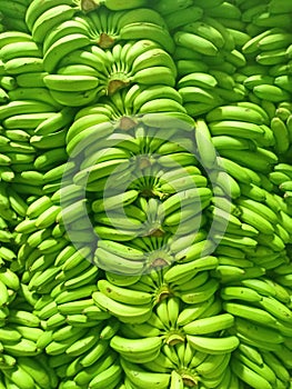 Closeup green bananas background