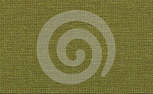 Closeup green color fabric sample texture backdrop.Green Fabric strip line pattern design,upholstery,textile for decoration interi
