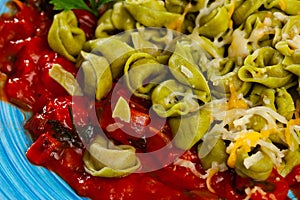 Closeup of green spinach tortellini with grated cheese and sauce