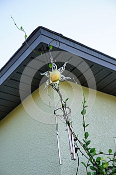 Closeup on green yam vine climbing on wrought wind mill