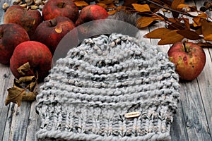 Closeup of Grey Handknit Garter Stitch winter hat with apples