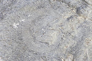 Closeup grey stone texture background