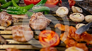 Closeup of grilled chicken kebabs with vegetables