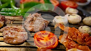 Closeup of grilled chicken kebabs with vegetables