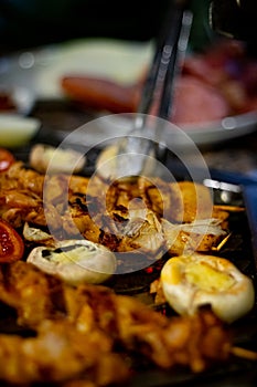 Closeup of grilled chicken kebabs with vegetables