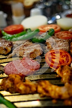 Closeup of grilled chicken kebabs with vegetables