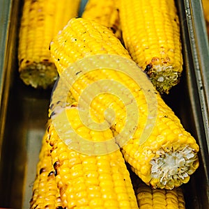 Closeup grilled corn vegetable food background