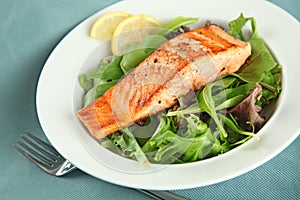 Closeup of Grilled Salmon Fillet with Green Beans