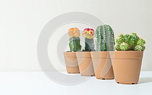 Closeup group of beautiful cactus in brown plastic pot for decorate on blurred white wooden desk and cream color wallpaper wall te