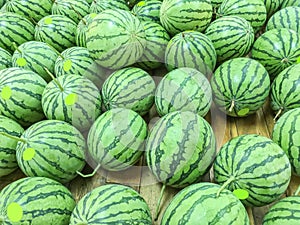 Closeup group of fresh watermelon on wood shelf for sell background