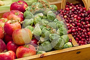 Closeup group of fruit