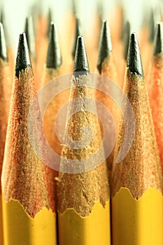 Closeup of a group of sharp, yellow pencils.