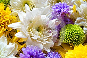 Closeup of group of various flowers