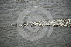 Closeup of Gurgling Water over Cobblestones . Shallowing of the river concept