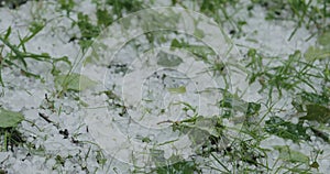Closeup of hailstones on the grass after strong hailstorm