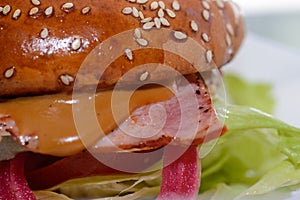 Closeup of hamburger ingredients