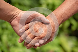 Closeup hand of the adult and the old people grasp together. photo
