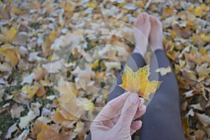 Closeup of hand holding Autumn leaf