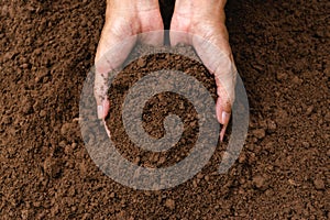 Closeup hand of person holding abundance soil for agriculture or