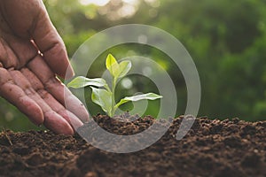 Closeup hand of person holding abundance soil for agriculture or