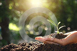 Closeup hand of person holding abundance soil for agriculture or