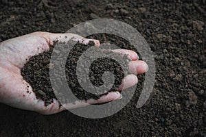 Closeup hand of person holding abundance soil for agriculture or planting peach