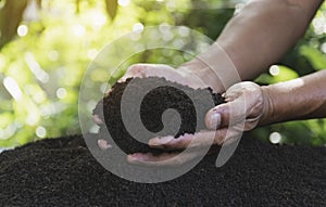 Closeup hand of person holding abundance soil for agriculture or planting peach
