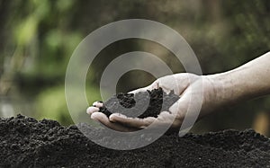 Closeup hand of person holding abundance soil for agriculture or planting peach