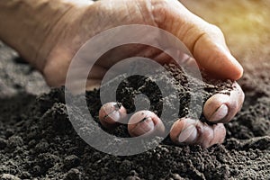 Closeup hand of person holding abundance soil for agriculture or planting peach concept