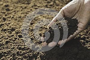 Closeup hand of person holding abundance soil for agriculture or planting peach concept