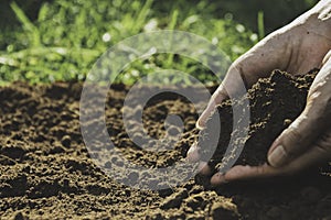 Closeup hand of person holding abundance soil for agriculture or planting peach concept