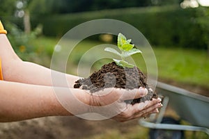 closeup hand of person holding abundance soil with young plant. Concept green world earth day. Hand of farmer inspecting