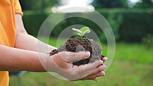 closeup hand of person holding abundance soil with young plant. Concept green world earth day. Hand of farmer inspecting