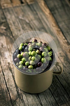 Arbequina olives from Spain photo