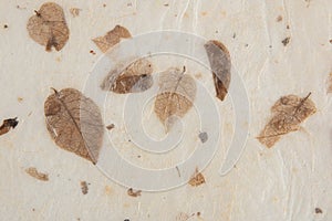 Closeup of handmade paper texture vintage background with leaf