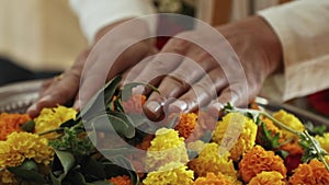 Closeup of hands on flower plate to worship god ritual