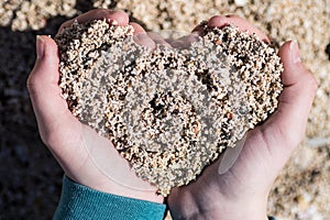 Closeup of hands that form a heart from the sand.