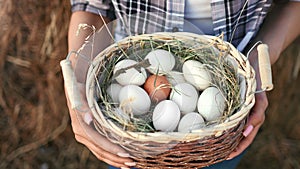 Closeup hands holding basket full of eco friendly chicken eggs. Shot on RED Raven 4k Cinema Camera
