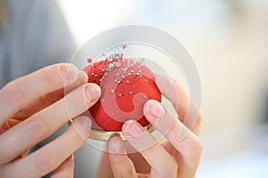 Closeup hands holding pin cushion